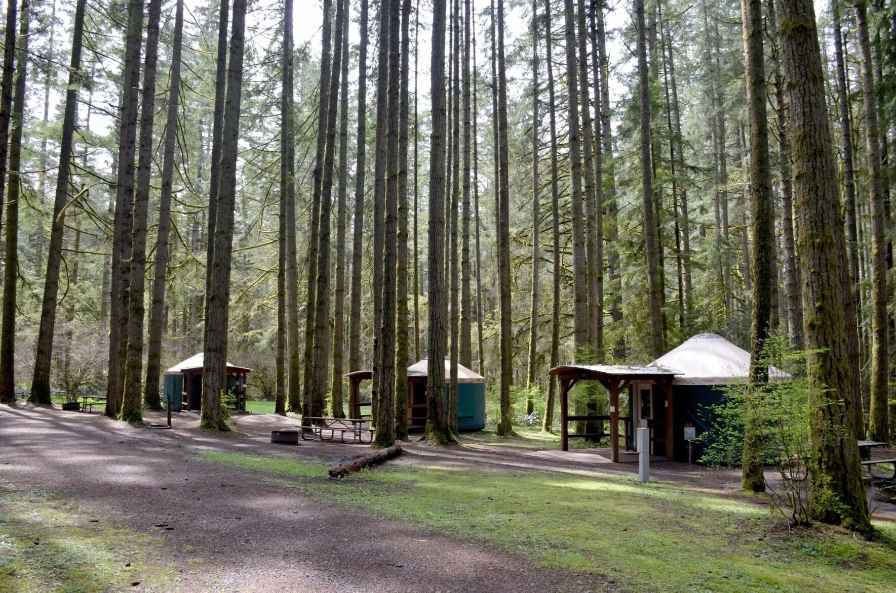 Seaquest State Park in Castle Rock